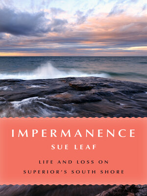 cover image of Impermanence